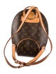 Louis Vuitton Coated Canvas Ellipse