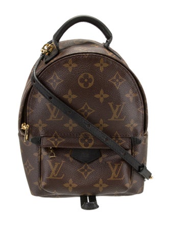 Louis Vuitton LV Monogram Palm Springs Mini