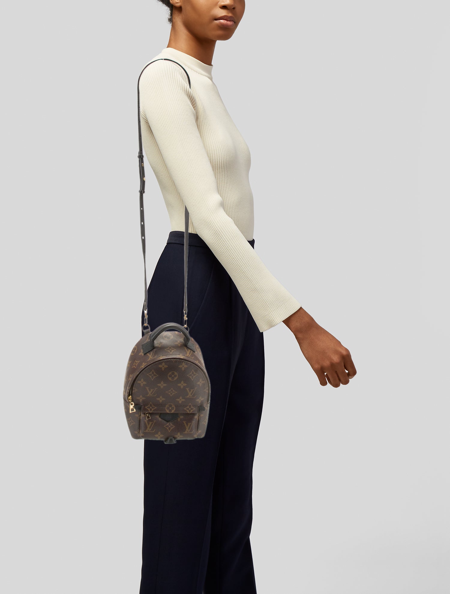 Louis Vuitton LV Monogram Palm Springs Mini