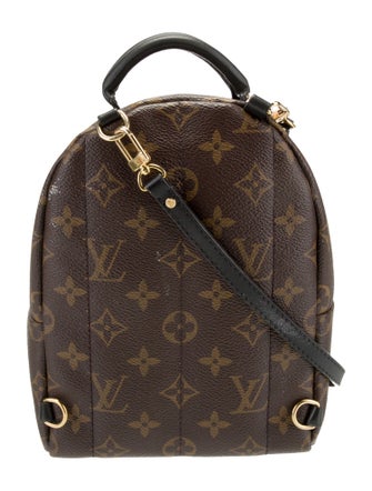 Louis Vuitton LV Monogram Palm Springs Mini