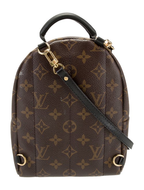 Louis Vuitton LV Monogram Palm Springs Mini