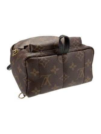 Louis Vuitton LV Monogram Palm Springs Mini