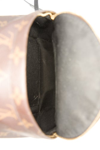 Louis Vuitton LV Monogram Palm Springs Mini