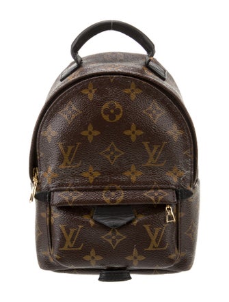 Louis Vuitton LV Monogram Palm Springs Mini