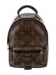 Louis Vuitton LV Monogram Palm Springs Mini