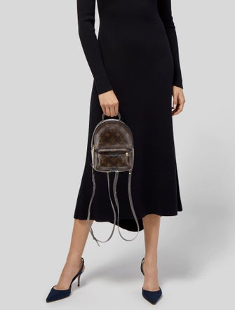 Louis Vuitton LV Monogram Palm Springs Mini