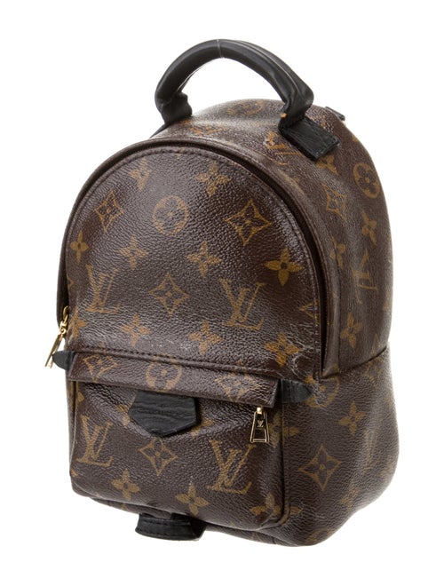 Louis Vuitton LV Monogram Palm Springs Mini