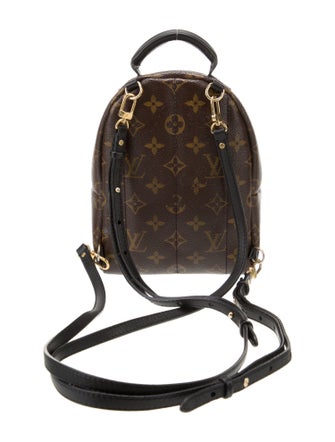Louis Vuitton LV Monogram Palm Springs Mini