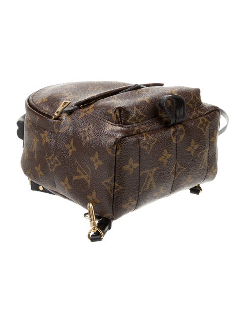 Louis Vuitton LV Monogram Palm Springs Mini