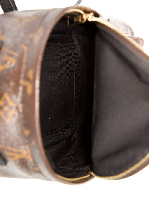 Louis Vuitton LV Monogram Palm Springs Mini