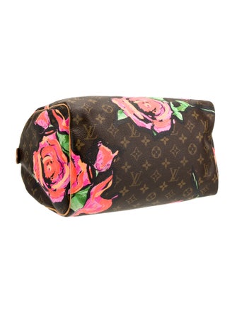 Louis Vuitton LV Monogram Speedy 30