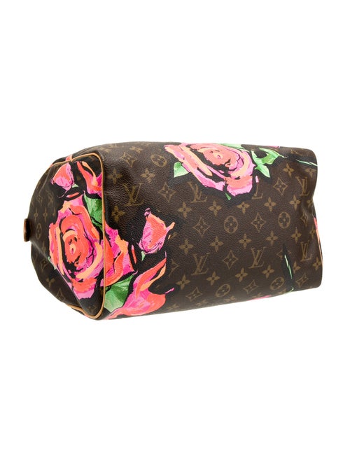 Louis Vuitton LV Monogram Speedy 30