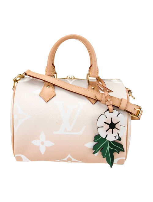 Louis Vuitton Monogram By The Pool Speedy Bandouliere 25