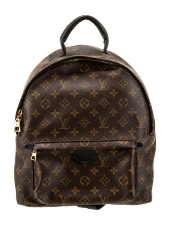 Louis Vuitton LV Monogram Palm Springs MM
