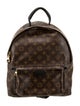 Louis Vuitton LV Monogram Palm Springs MM