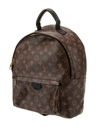 Louis Vuitton LV Monogram Palm Springs MM