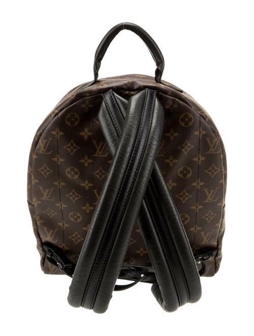 Louis Vuitton LV Monogram Palm Springs MM