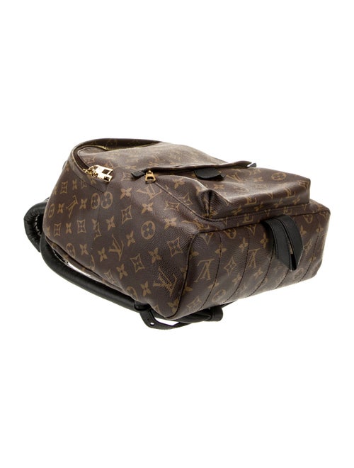 Louis Vuitton LV Monogram Palm Springs MM