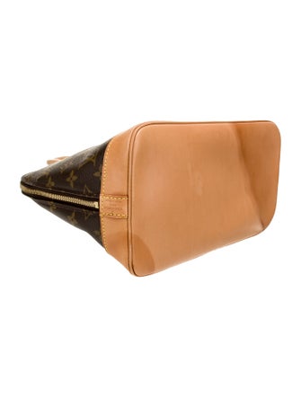 Louis Vuitton LV Monogram Top Handle Bag PM