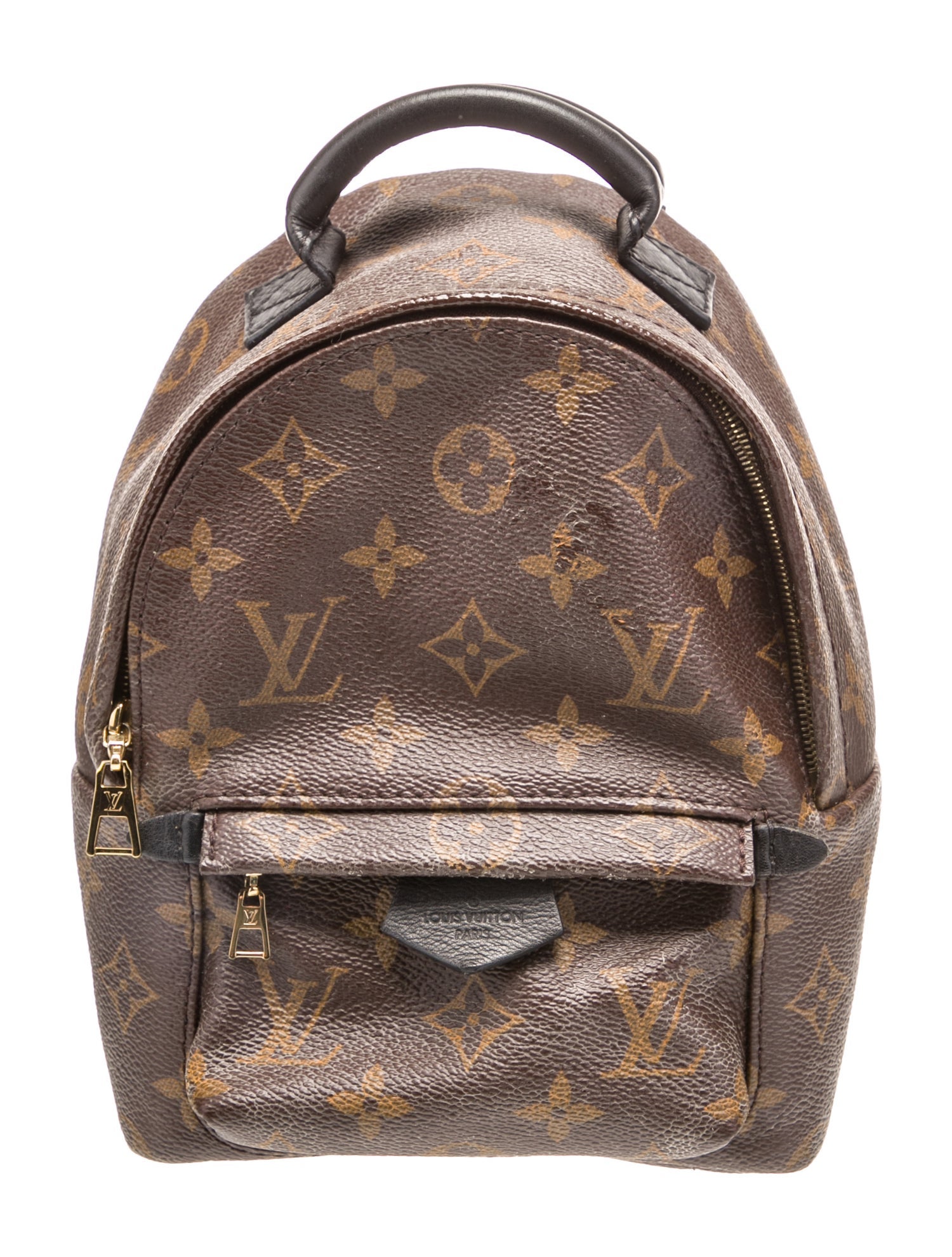 Louis Vuitton LV Monogram Palm Springs Mini
