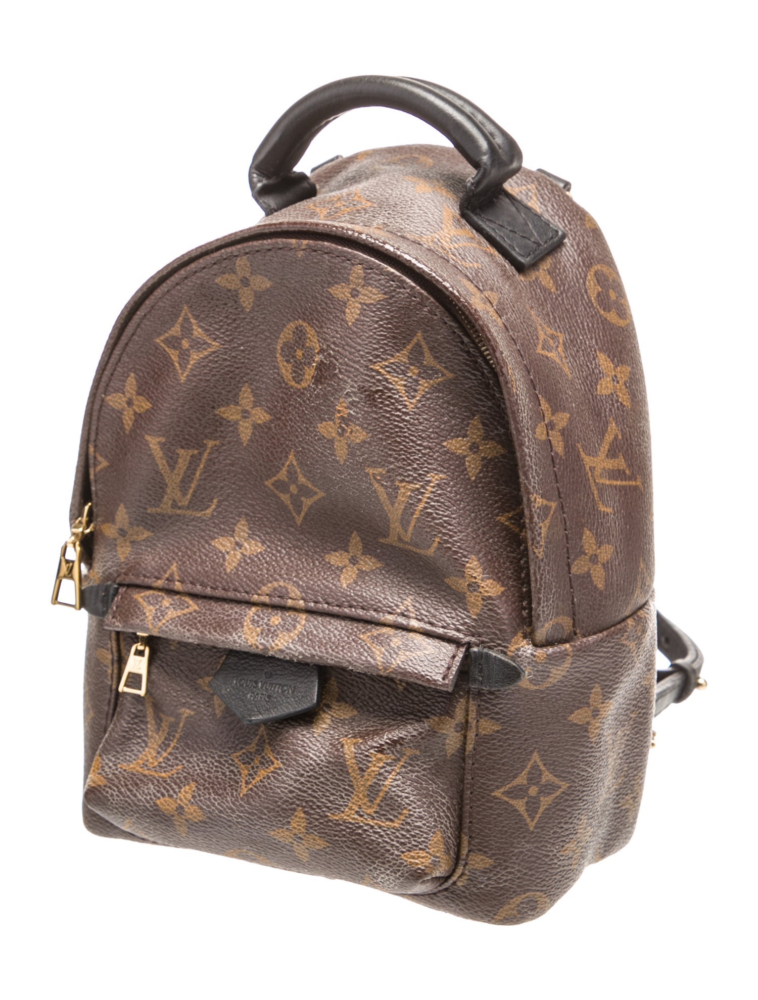 Louis Vuitton LV Monogram Palm Springs Mini