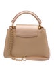 Louis Vuitton Signature Capucines BB