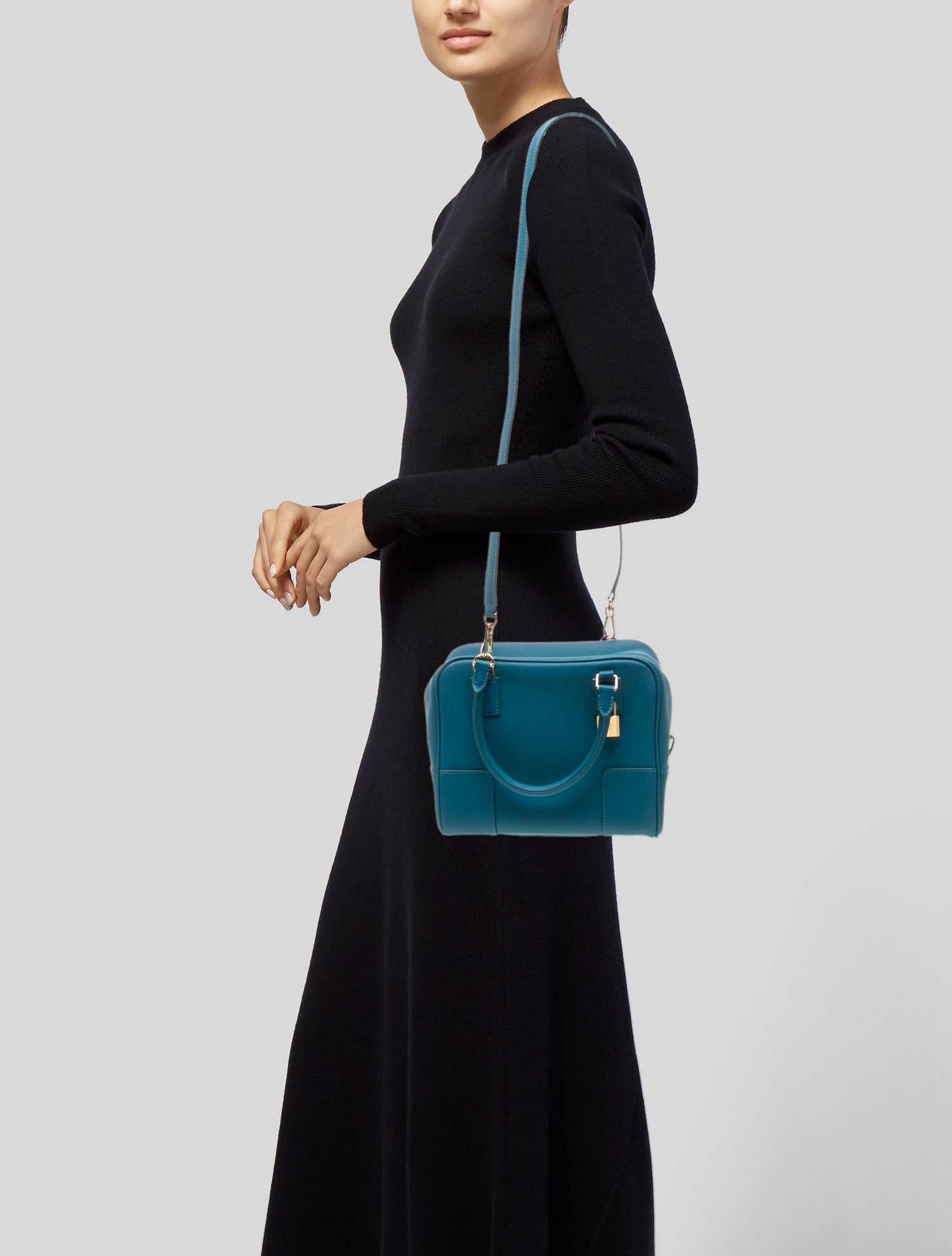 Loewe Leather Amazona