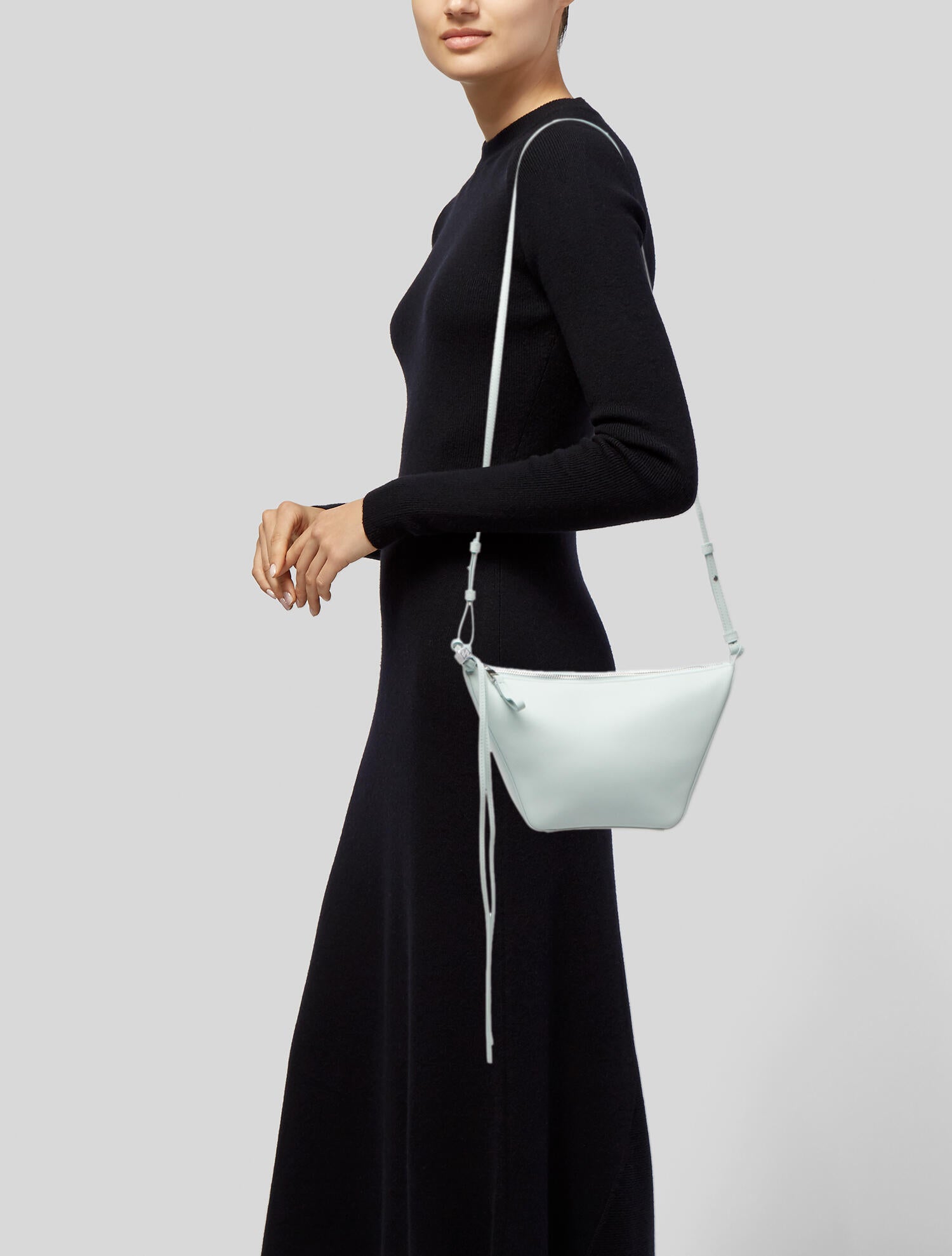 Loewe Calfskin Hammock Mini