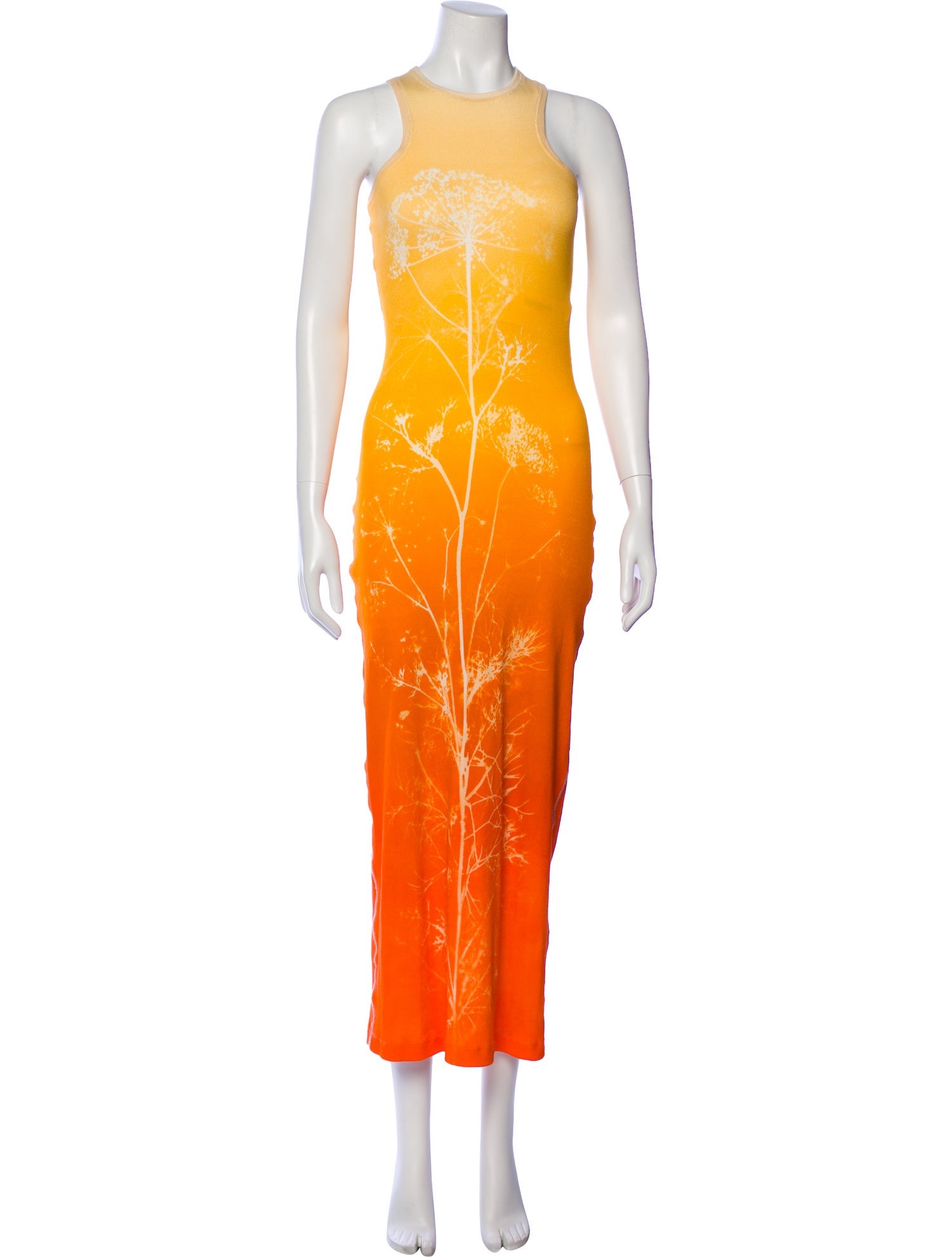 Loewe Paula's Ibiza Printed Long Dress