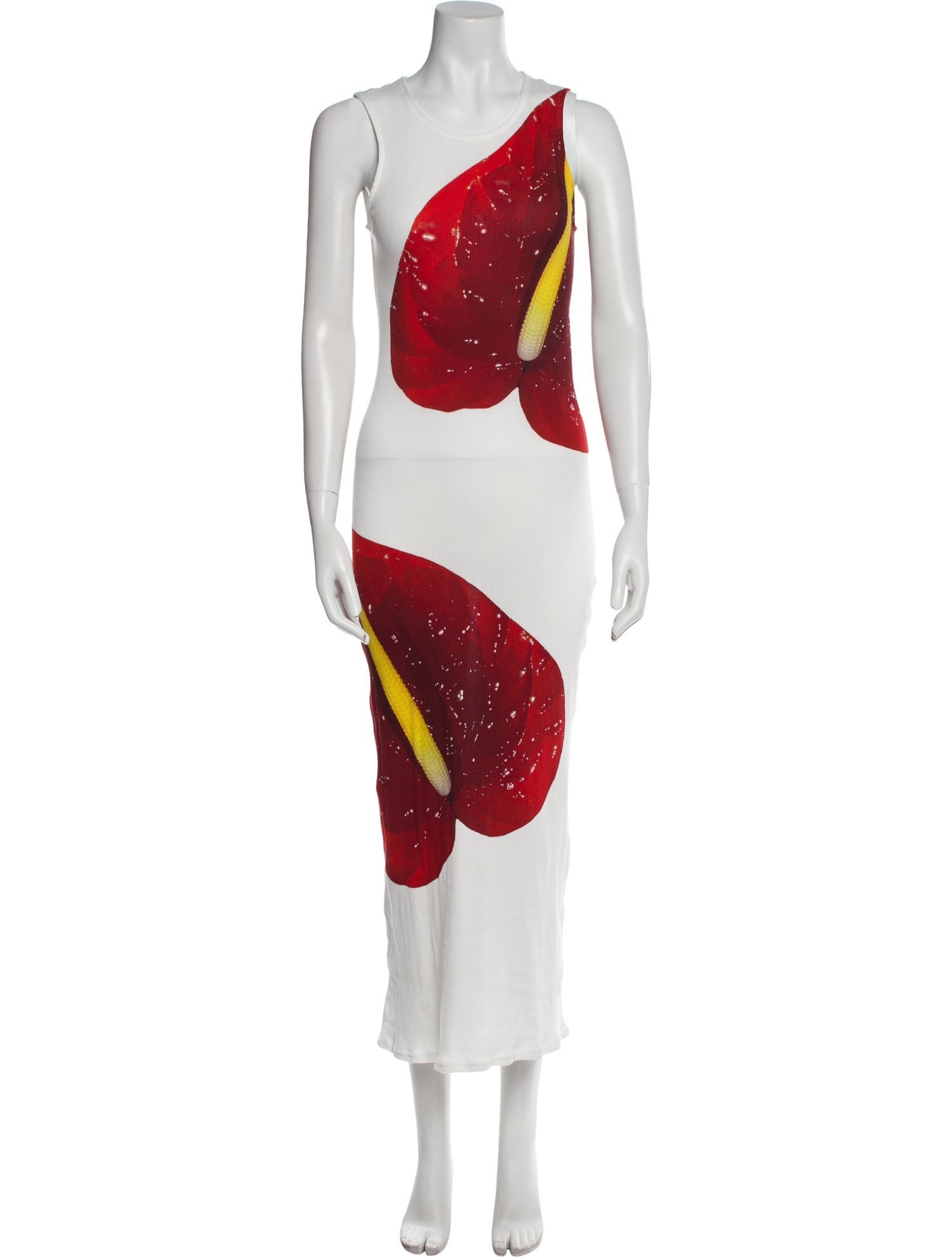 Loewe Printed Long Dress