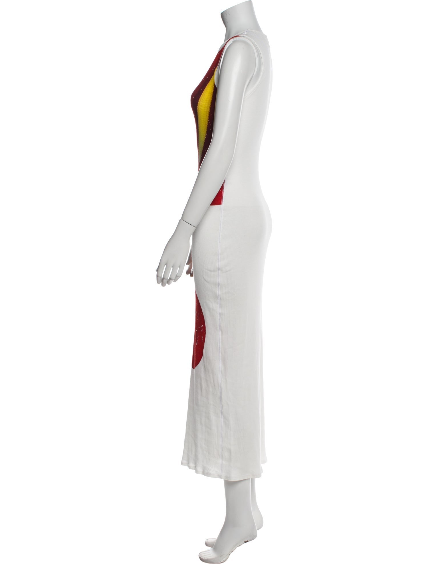 Loewe Printed Long Dress