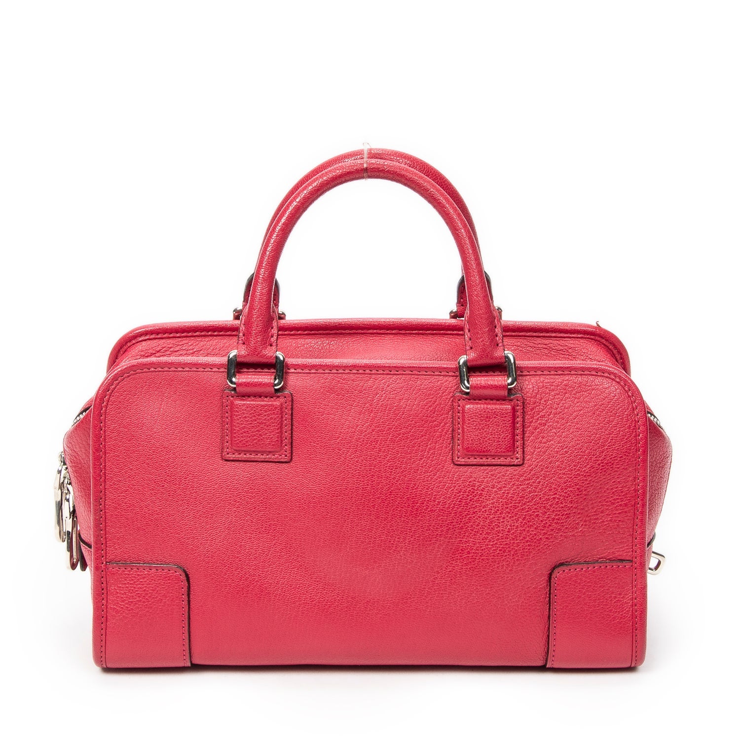 Loewe Leather Amazona