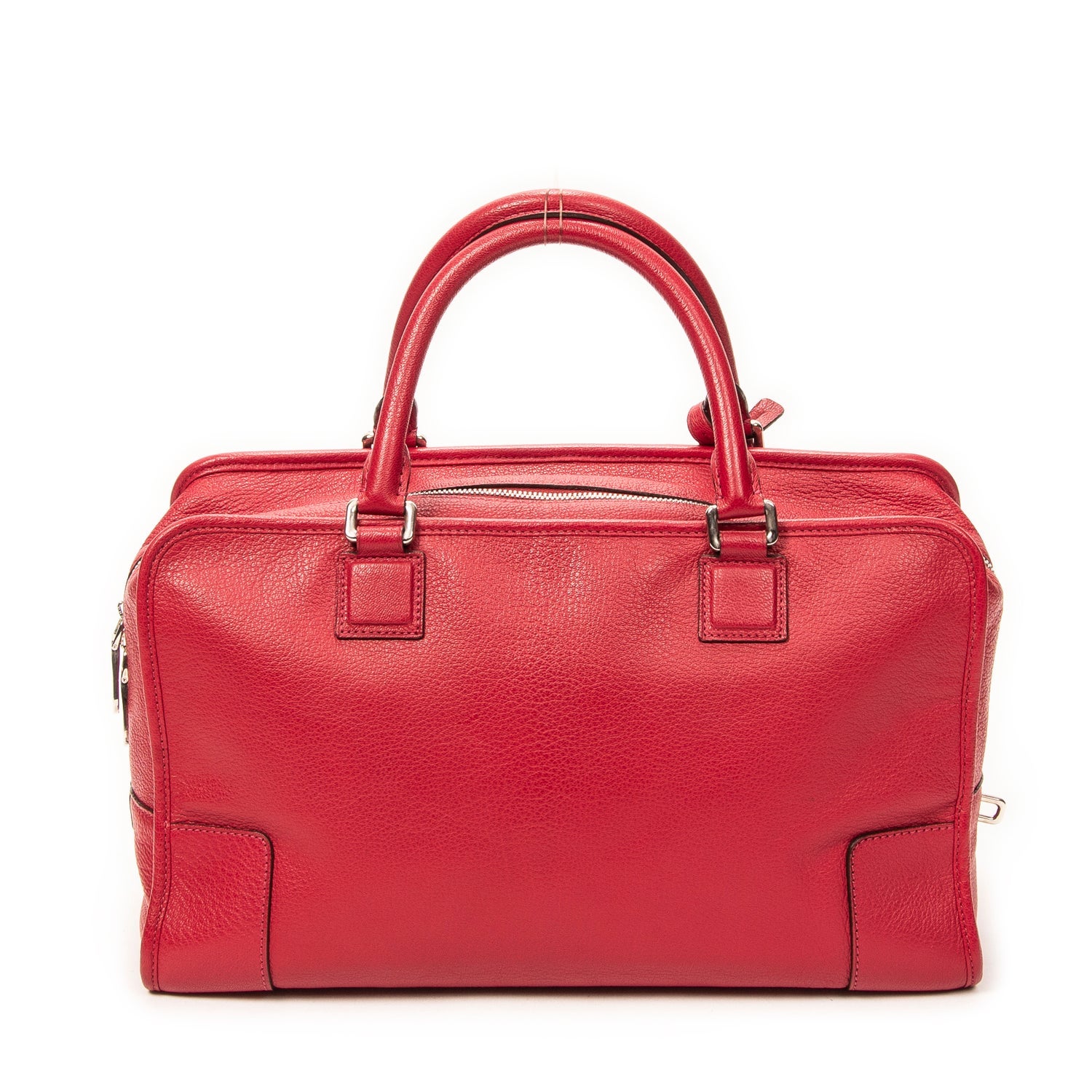 Loewe Leather Amazona