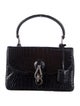 Loewe Paloma Crocodile Handle Bag