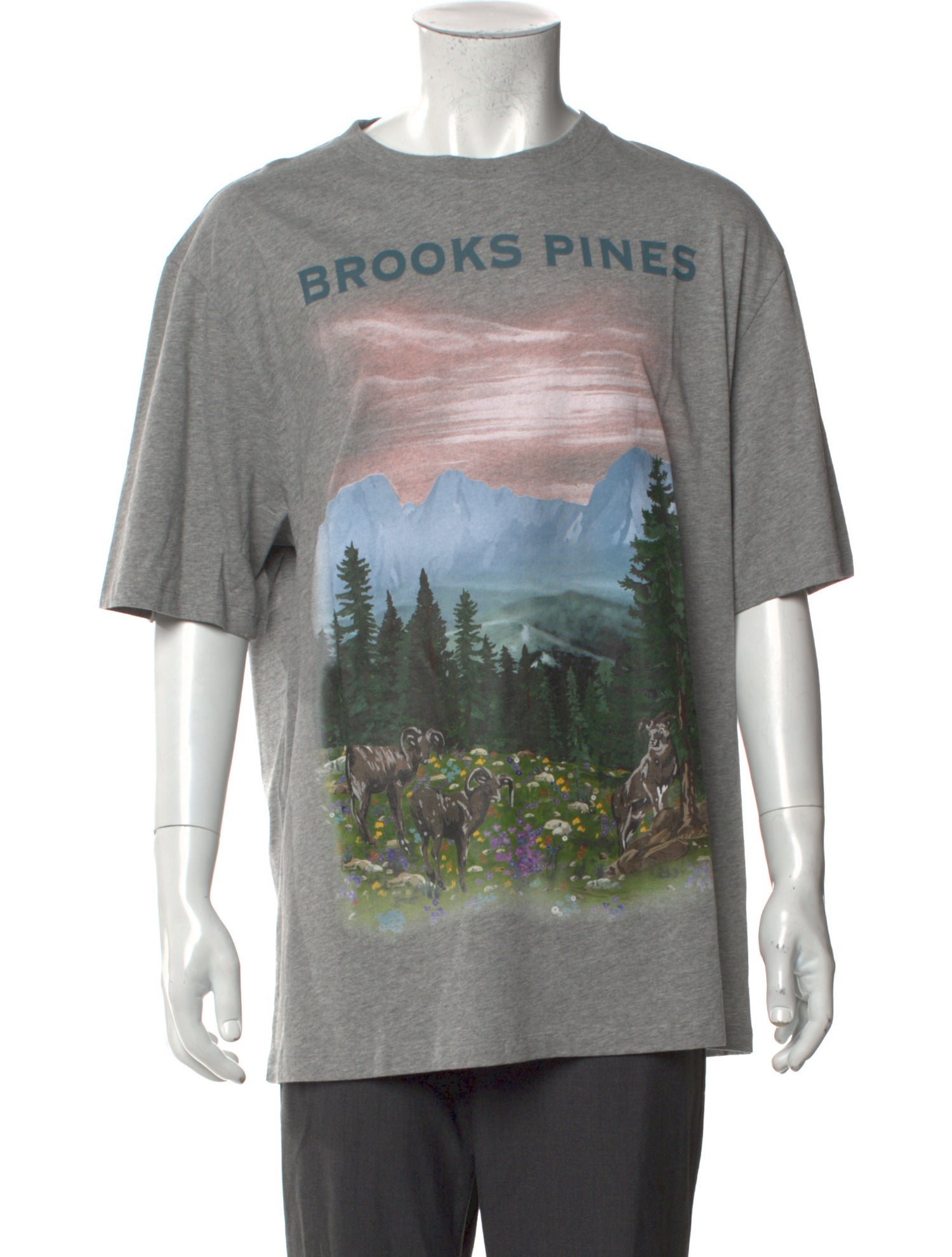 Loewe Graphic Print Crew Neck T-Shirt w/ Tags