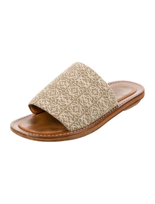 Loewe Printed Slides