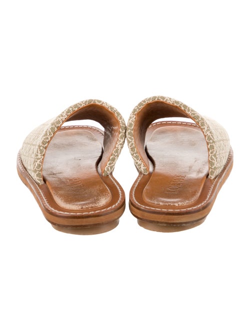 Loewe Printed Slides