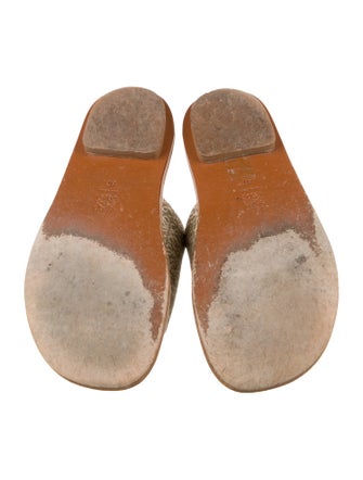 Loewe Printed Slides