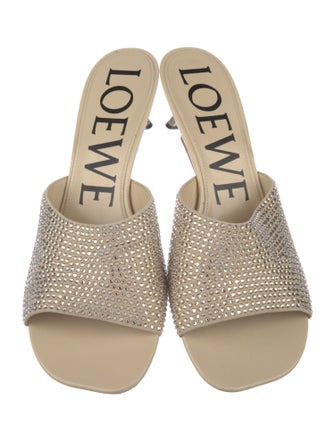 Loewe Suede Slides