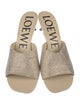Loewe Suede Slides