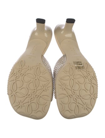 Loewe Suede Slides