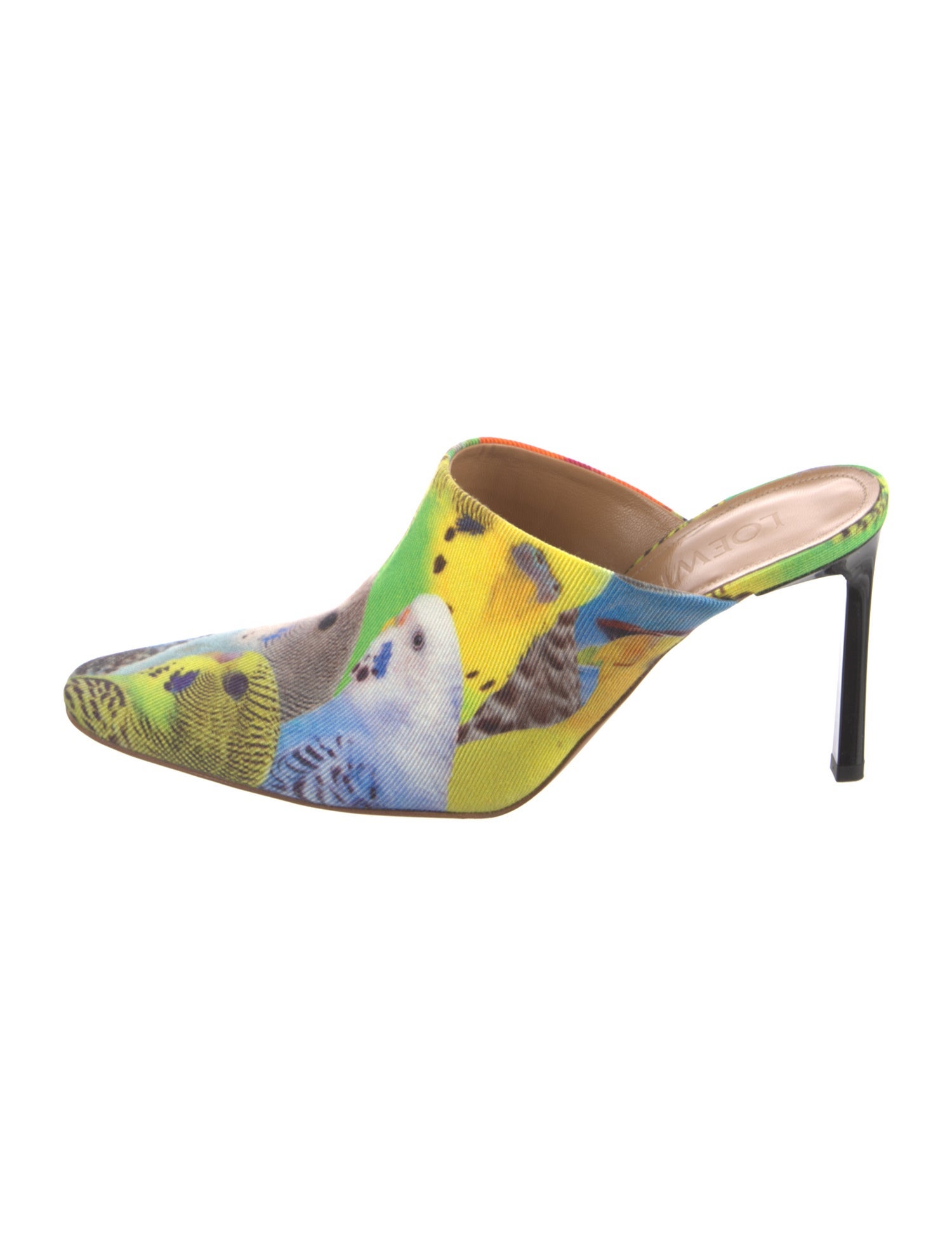 Loewe Printed Mules