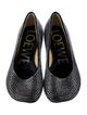 Loewe Printed Crystal Embellishments Ballet Flats