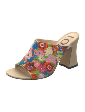 Loewe Floral Print Embroidered Accent Slides