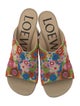 Loewe Floral Print Embroidered Accent Slides