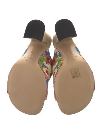 Loewe Floral Print Embroidered Accent Slides