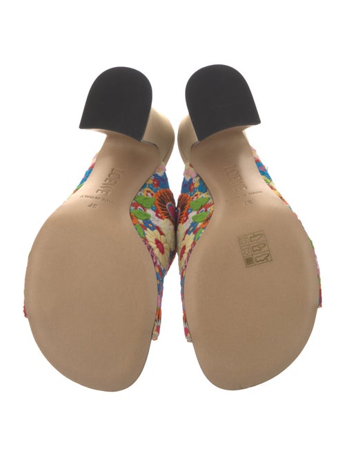 Loewe Floral Print Embroidered Accent Slides