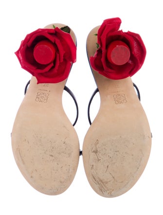 Loewe Rose Heels Leather Slides