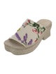 Loewe Raffia Floral Print Espadrilles