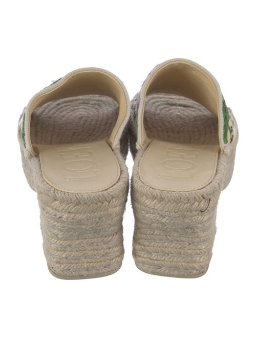 Loewe Raffia Floral Print Espadrilles